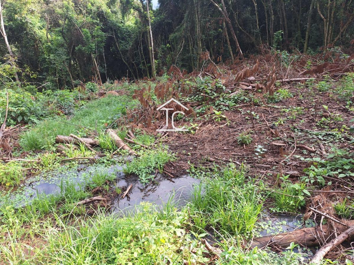 Área, à venda em Riozinho