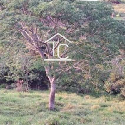 Área, 30.000,00m², à venda em Santo Antônio, Pinheirinhos